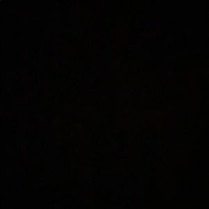 Meet your Posher, Shaneice